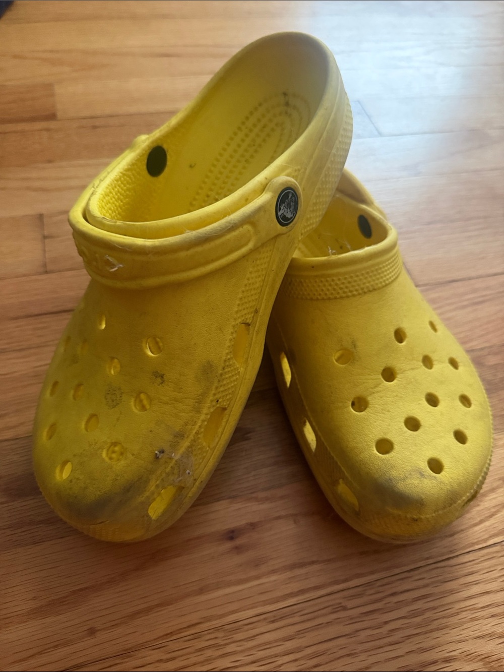 CROCS Classic Clog in Bright Yellow